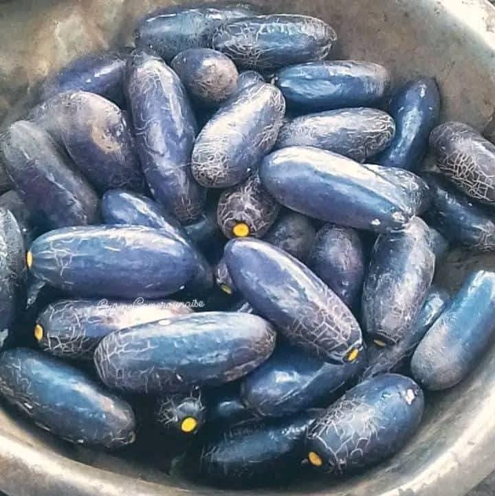 Safou (prune africaine)