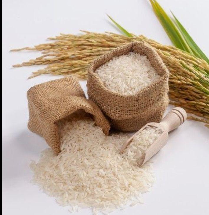 Rice