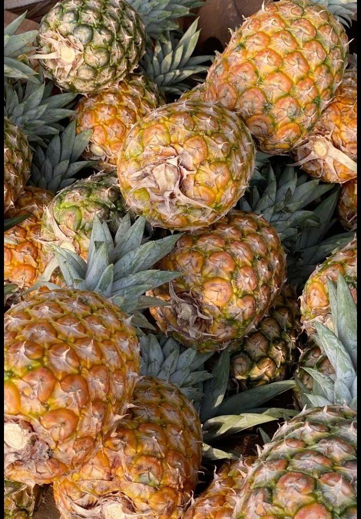 Fruits
